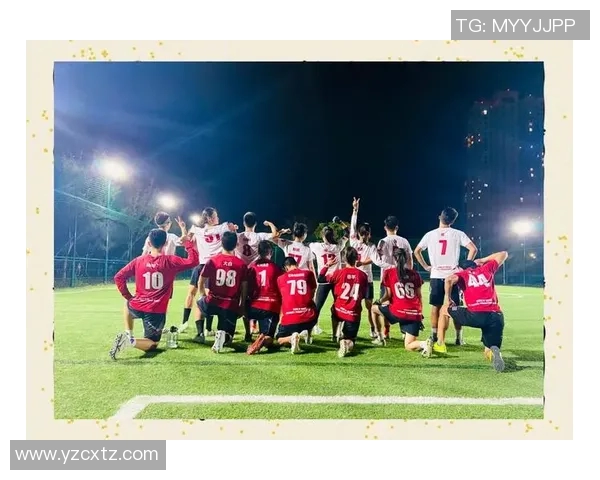 深入探讨上海飞盘队的配合表现与数据分析成果