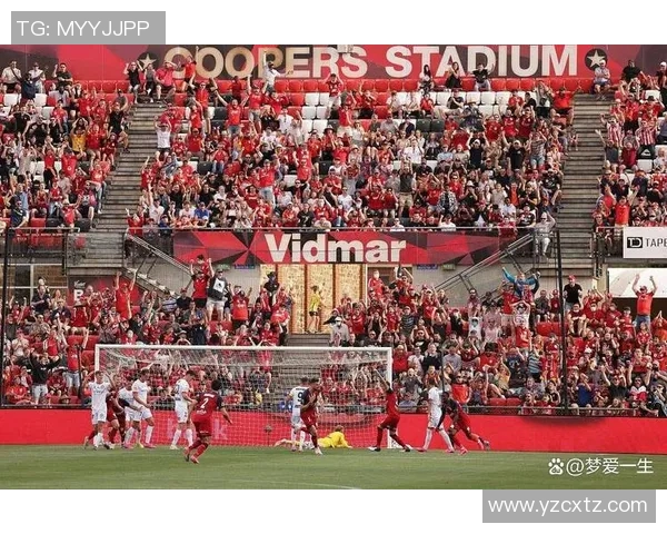 曼联与狼队激情对决贴吧热议赛前分析与球迷期待