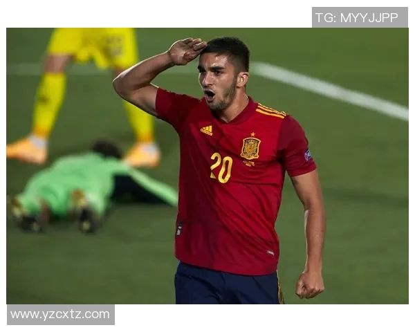 费兰托雷斯：从新星崛起到世界足球舞台的闪耀之旅