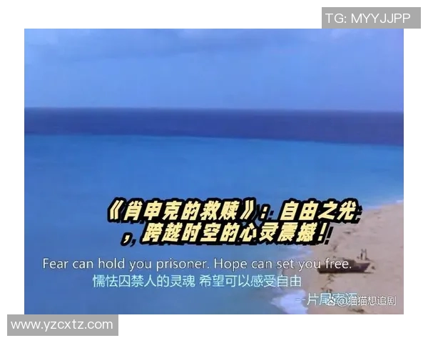 自由人与震动的较量探索内心的自由与外界的冲击