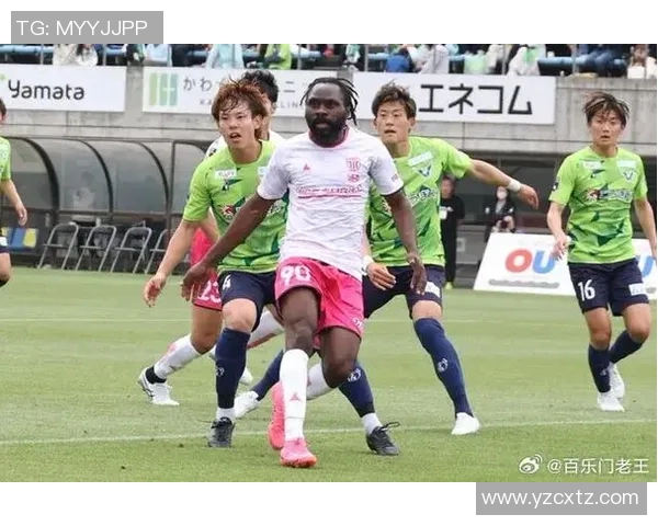 鸟栖沙岩vs喜悦 鸟栖沙岩vs喜悦