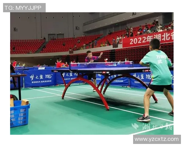 武汉乒乓球队的训练与竞技状态全景揭秘乒乓球的魅力与挑战