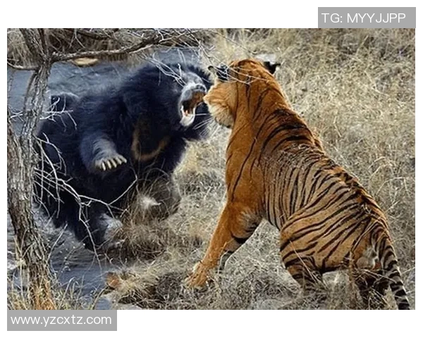 火花与风暴的较量究竟谁更强大探讨自然力量的对比与影响 火花与风暴的较量究竟谁更强大探讨自然力量的对比与影响