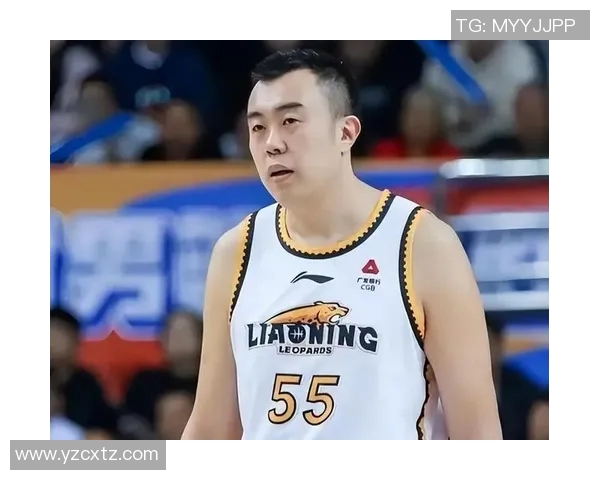 韩德君的篮球之路：从青涩少年到CBA传奇的辉煌历程与心路历程