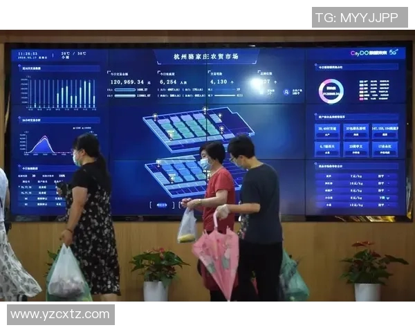 陈娜独家篮球心得分享探索技巧与心态的完美结合MBA