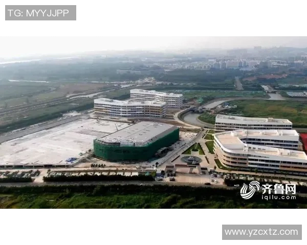 广州排球队运营模式分析与发展前景探讨