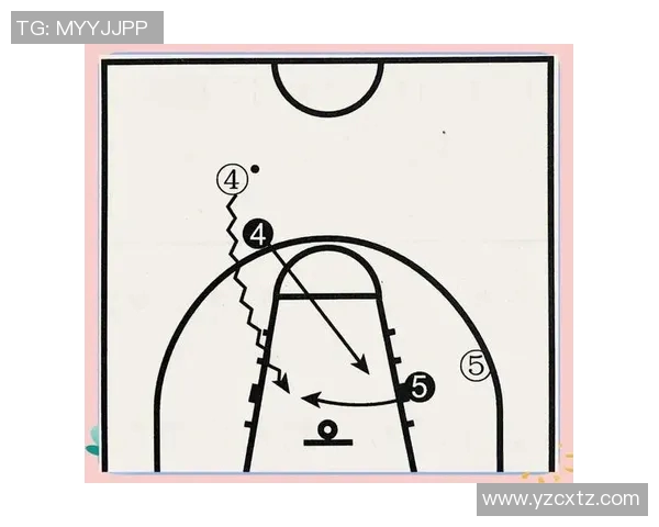 深入分析成都篮球队防守策略与战术特点的专业解读