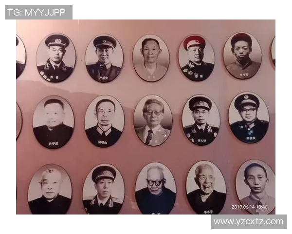 武汉羽毛球队的蜕变之旅：从传统到现代的全新纪实探索